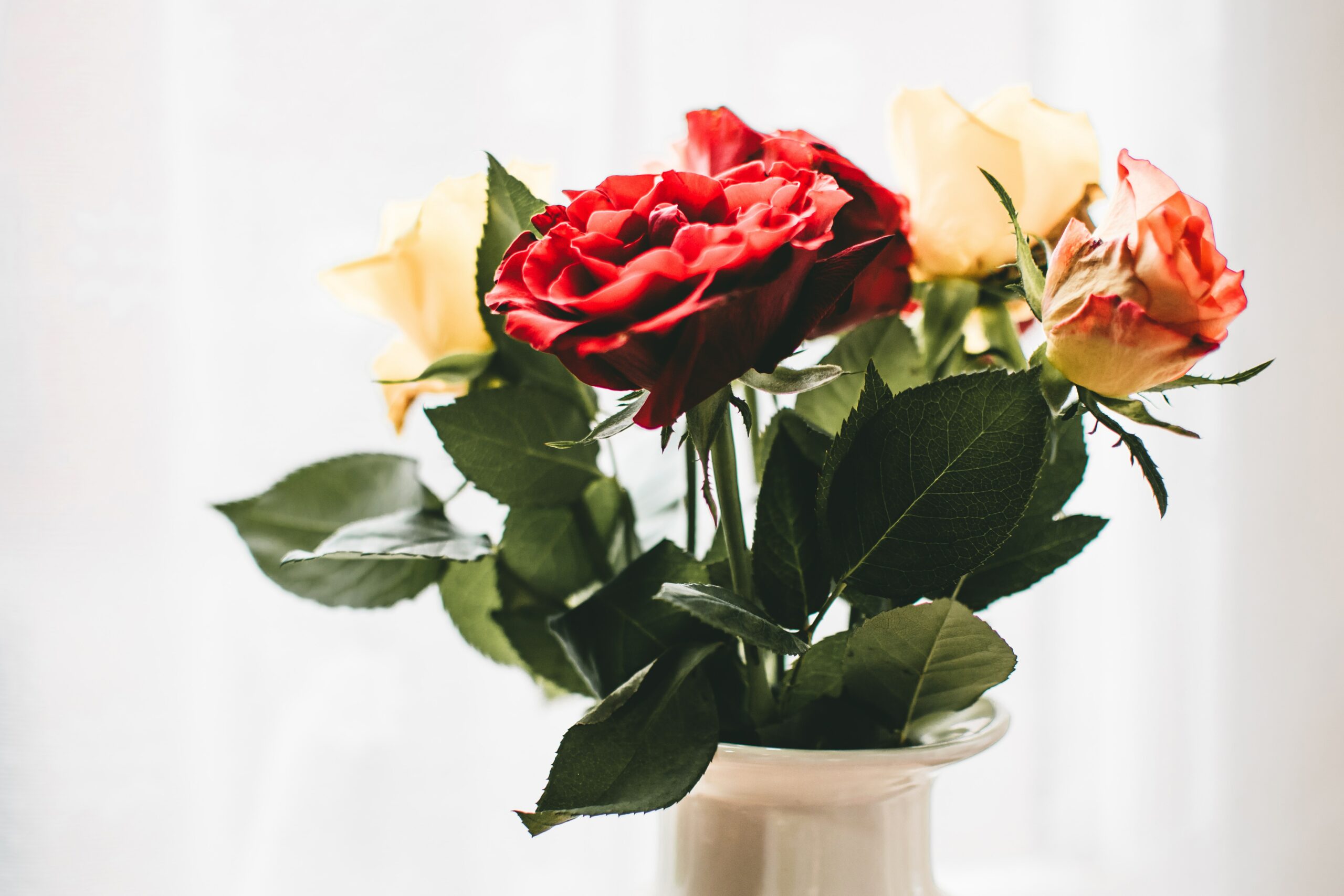 Courtesy of Pexels - Black Love