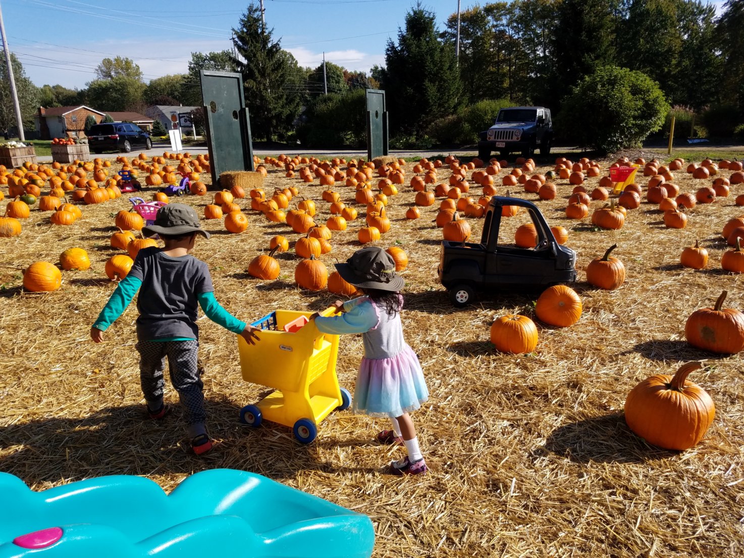 A pumpkin farm in Northern Ohio - Black Love 7 Tried and True Tips for Road Tripping With the Kids