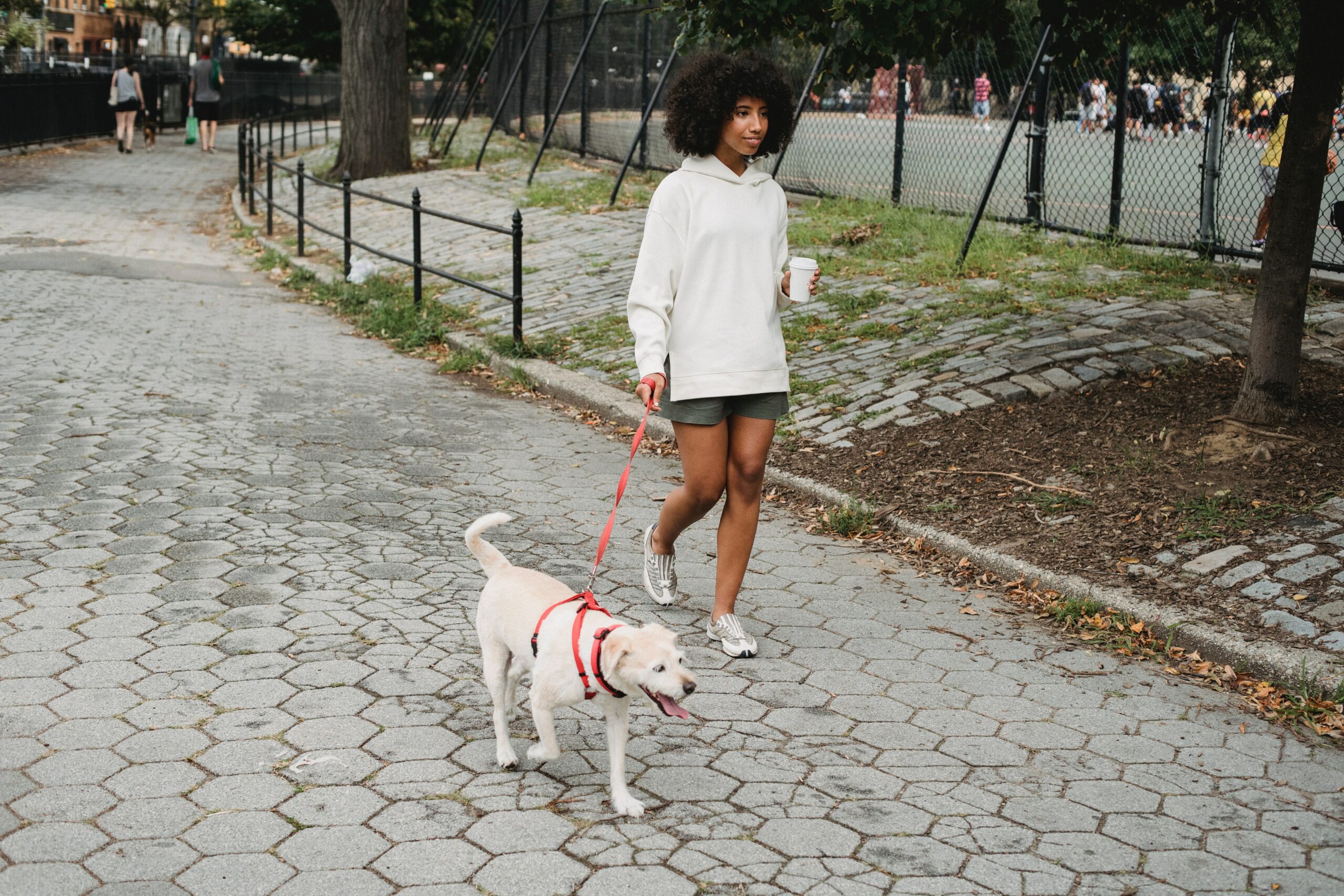 Courtesy of pexels.com - Black Love woman walking her dog