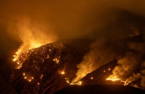 Resources for Black Families Affected by Wildfires in Los Angeles